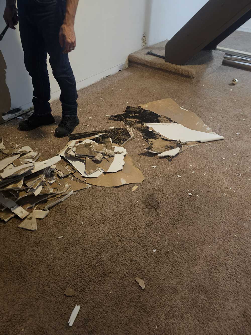 A person stands by a pile of broken drywall with mold on a brown carpet, near stairs. The scene suggests renovation or repair work in progress.