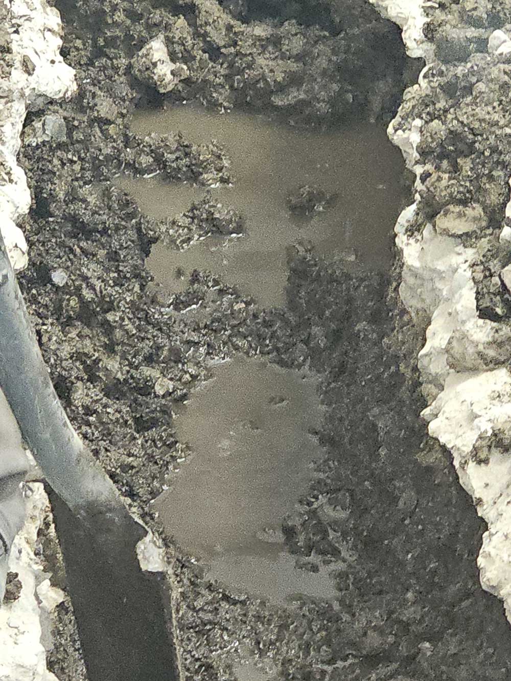 Close-up of wet, muddy soil with a shovel on the left. The ground appears churned and uneven, indicating recent digging in damp conditions.